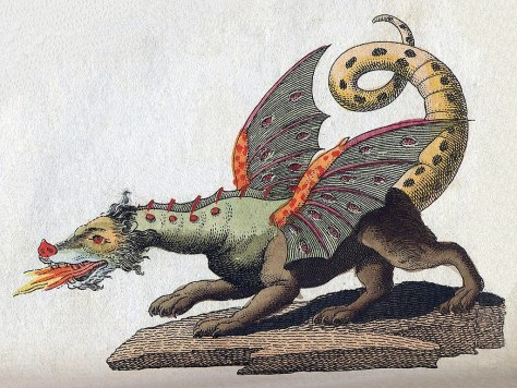 1024px-friedrich-johann-justin-bertuch_mythical-creature-dragon_1806