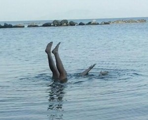 11535819_10204428916072050_3192562977303849020_na